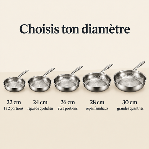 [Scale AI] comparison, Poêle Titane Martelé Veltiof
